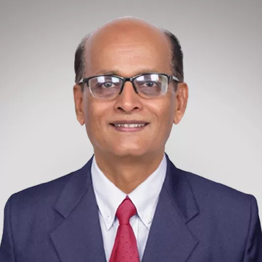 Manohar Joshi, Project Management, GullySales